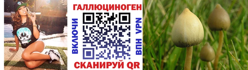Галлюциногенные грибы прущие грибы Сураж